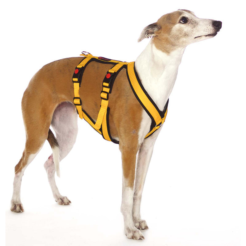 Y-sele SMALL DOBBEL