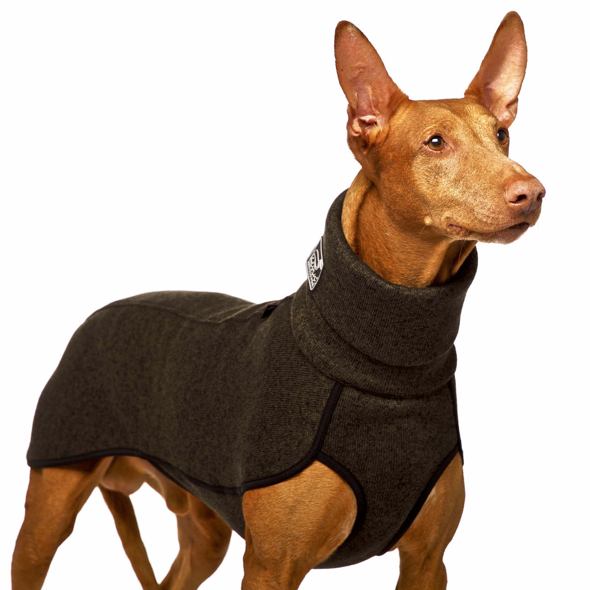 KEVIN jumper XL1 - 80 cm