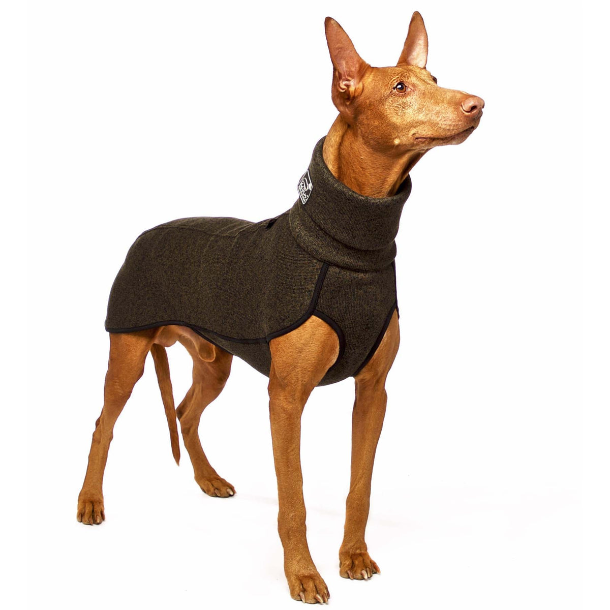 KEVIN jumper L1 - 65 cm (595685933084)