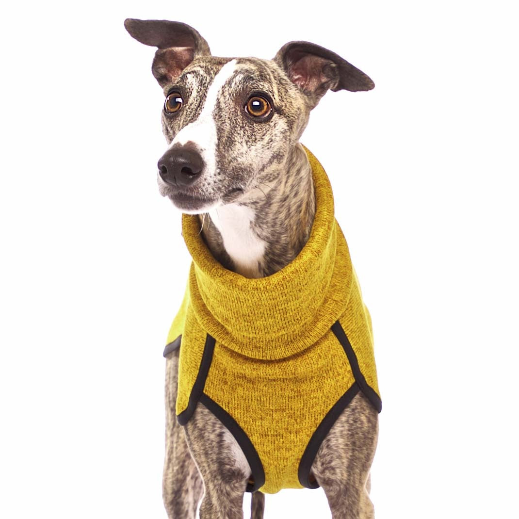 KEVIN jumper XL1 - 80 cm