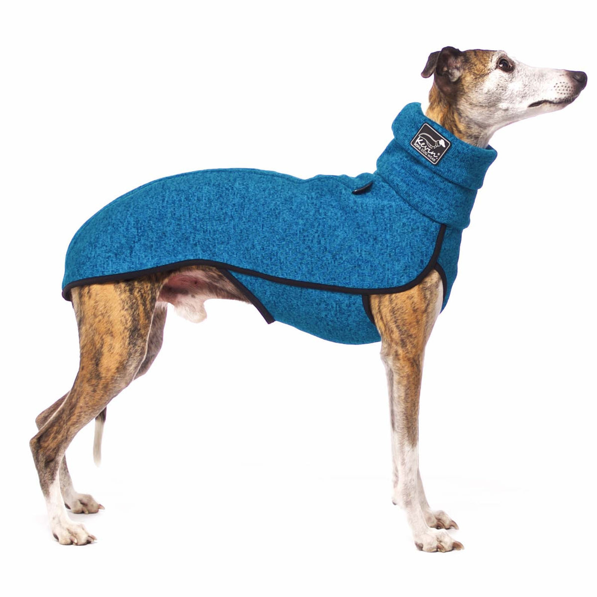 KEVIN jumper L1 - 65 cm (595685933084)