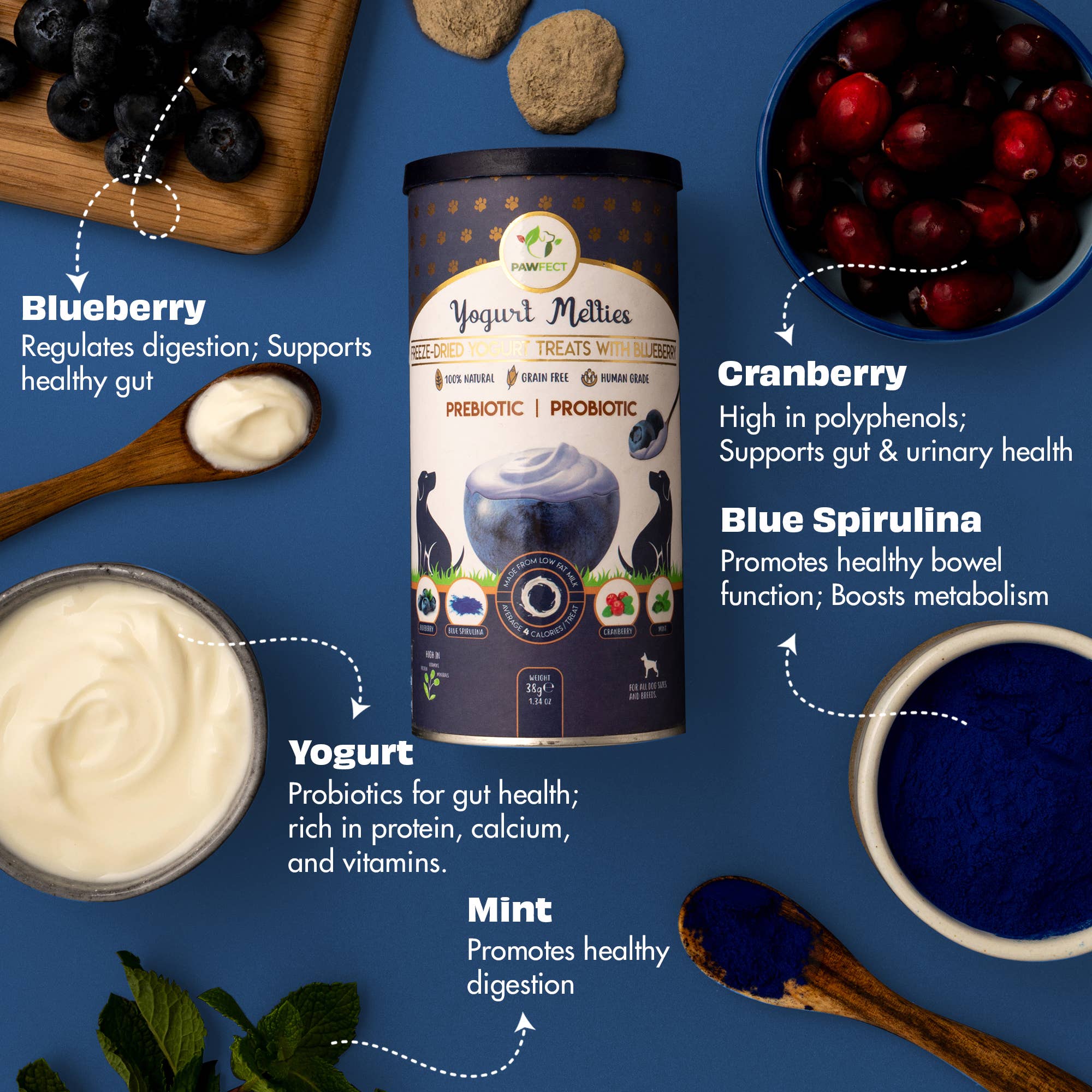 BLÅBÆR & YOGHURT hundegodbiter med prebiotika og probiotika – Pawfect Yogurt Melties