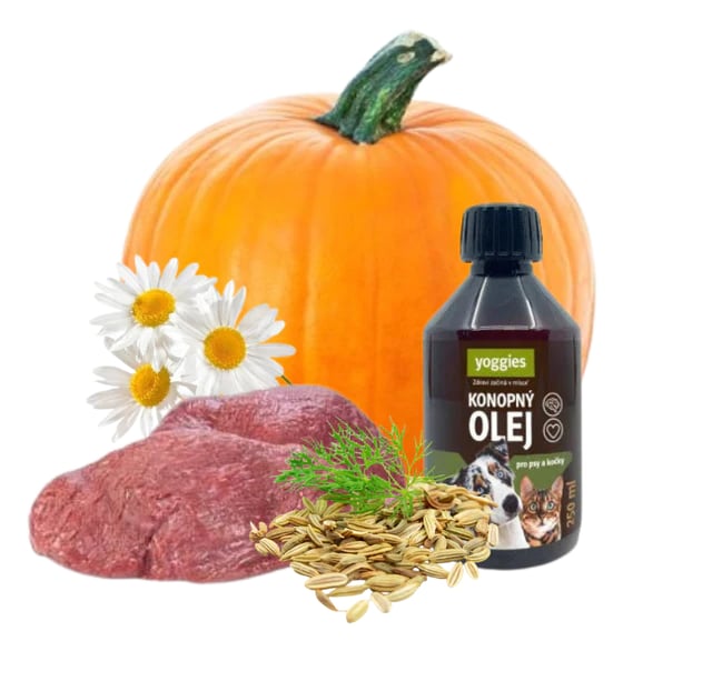 Monoprotein KENGERU med gresskar og jordskokk - våtfôr YOGGIES hund