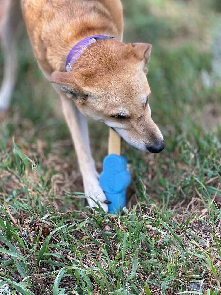 PETZ RUBBER YAK CHEW holder