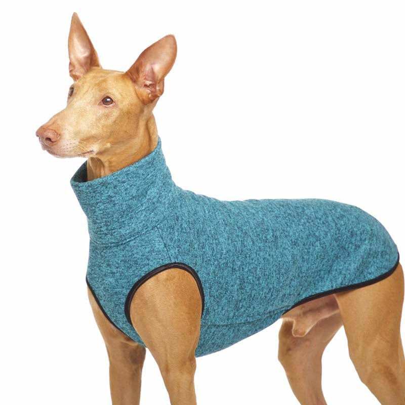 HACHIKO jumper 02 (393734094876)