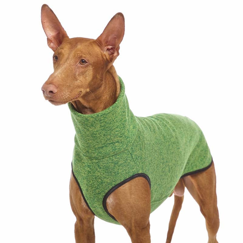 HACHIKO jumper 02 (393734094876)