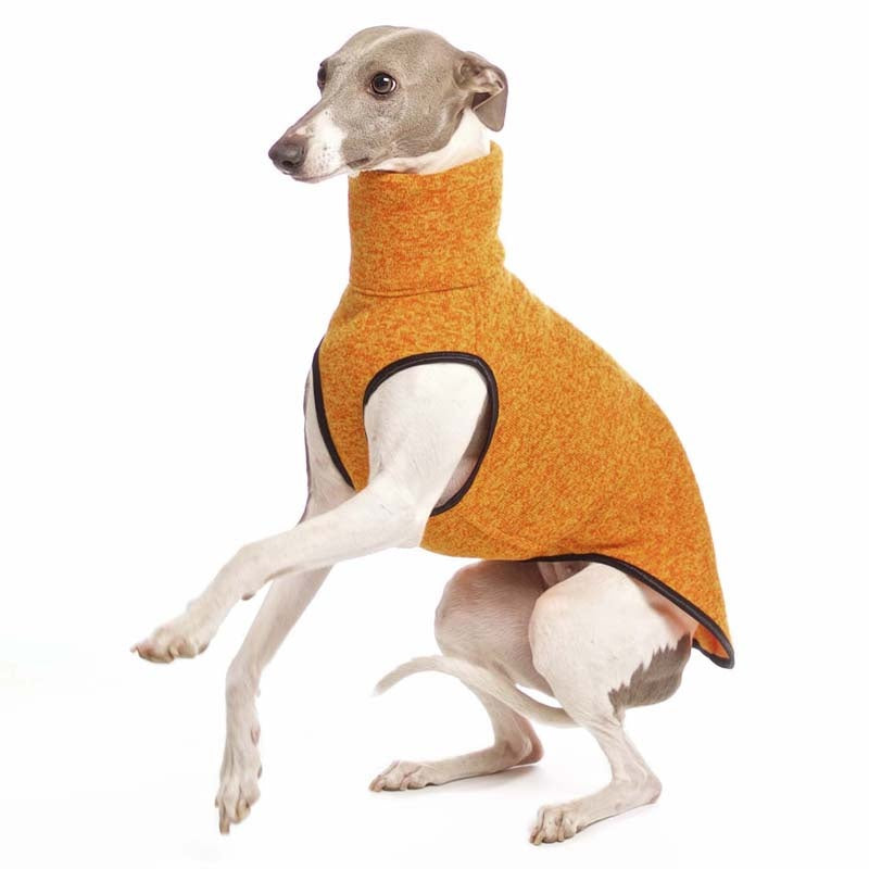 HACHIKO jumper 02 (393734094876)