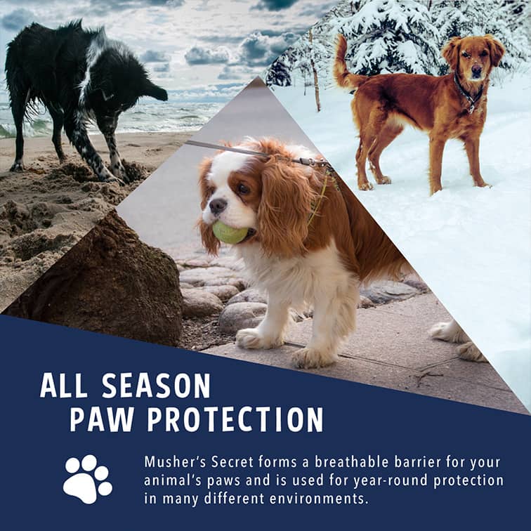 Musher's secret universal POTESALVE